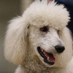 photograph by PeterW